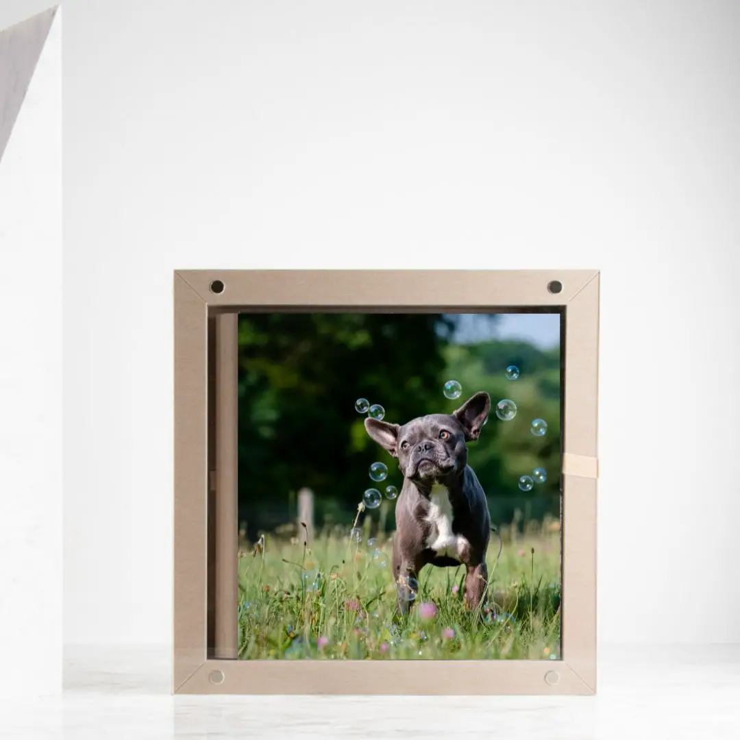 Saber- Storybook Album