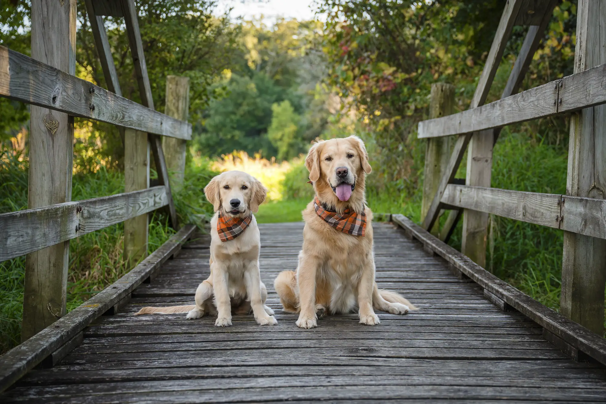 UWL 1338 CHARLIE+INDY