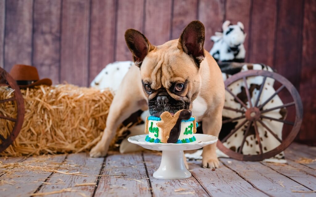 Unleashed with Love Dog Birthday Cake