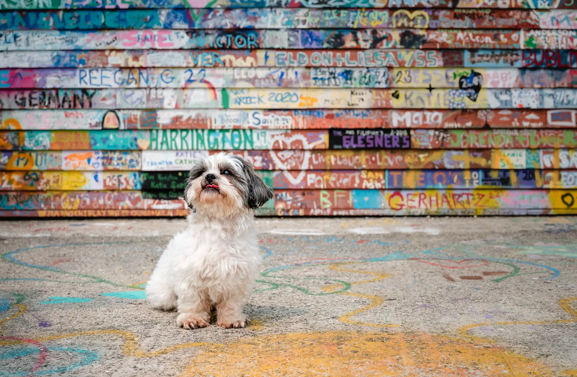 UnleashedWithLove_DSC_3775_MAGGIE