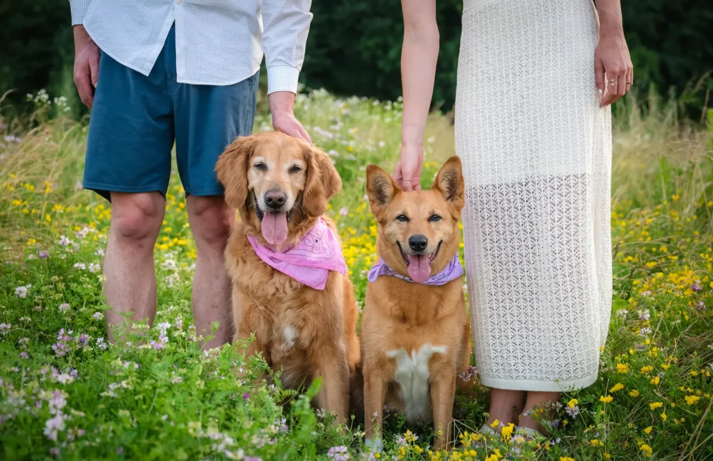 UnleashedwithLove 7949 SHELBY+SYDNEY2