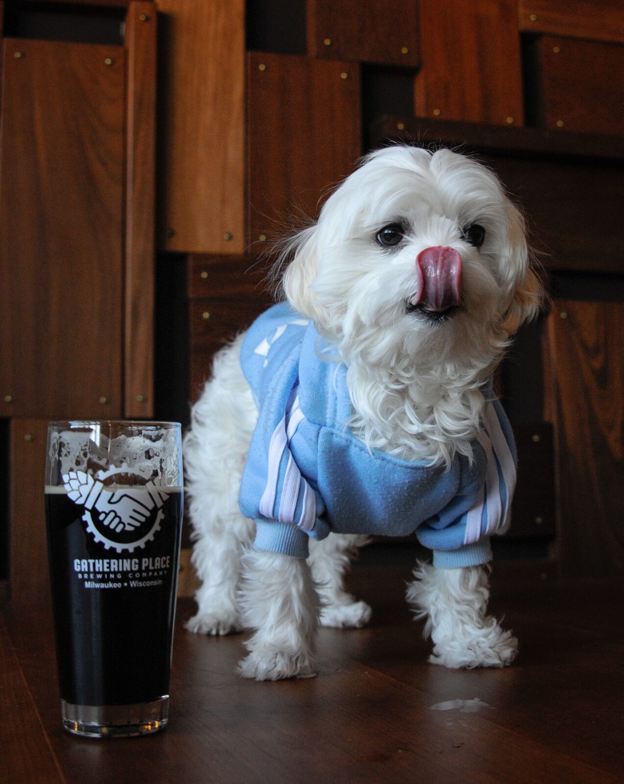 Dog Friendly Breweries Where Paws are Accepted Indoors