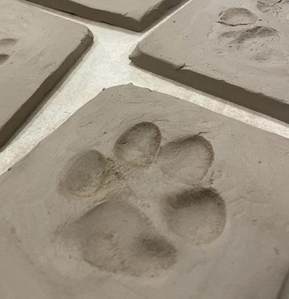 Paw prints for making Stone Pony Pottery's Paw Print Mug